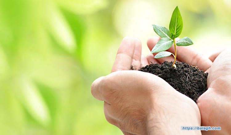 معنى الجهد وطريق الحقّ والفضيلة